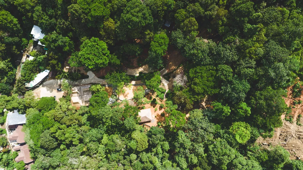 [PHUKET] Feed & Shower Experience - Patong 