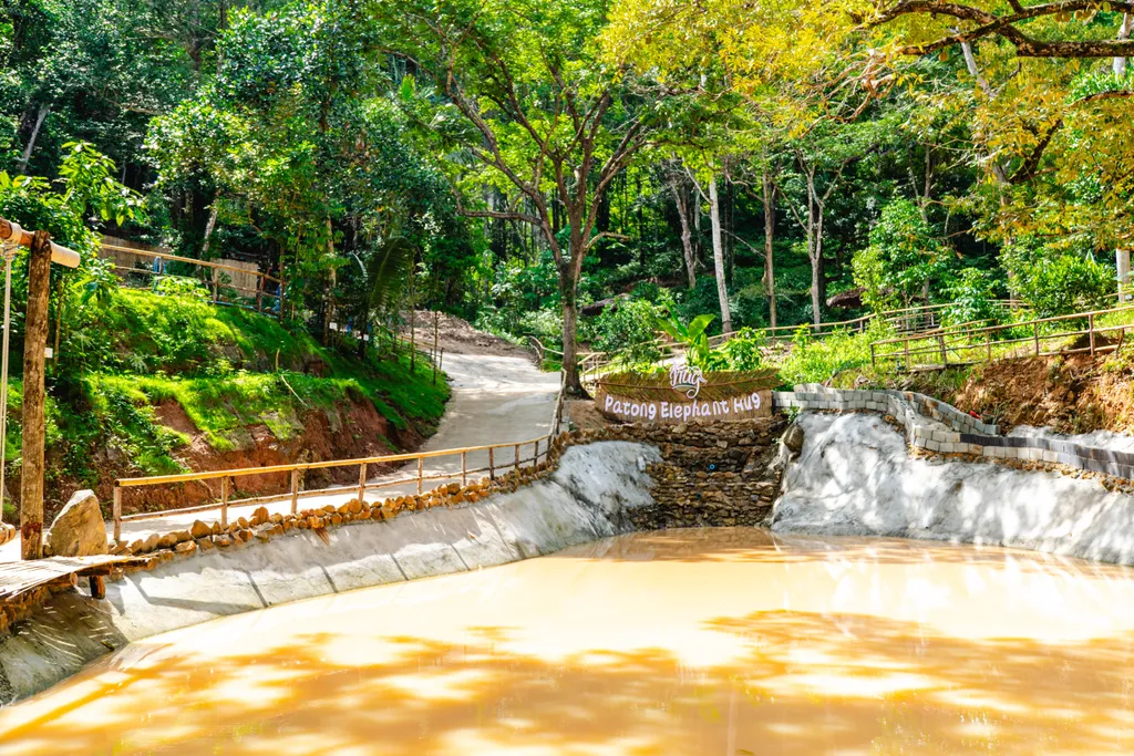 [PHUKET] Feed & Shower Experience - Patong 