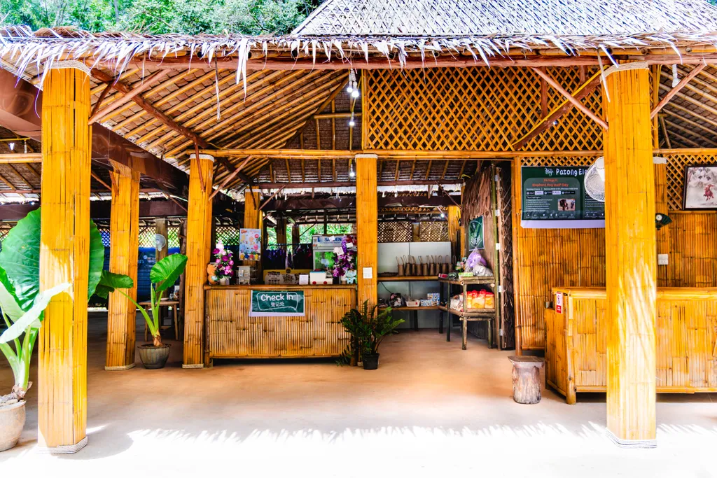 [PHUKET] Feed & Shower Experience - Patong 