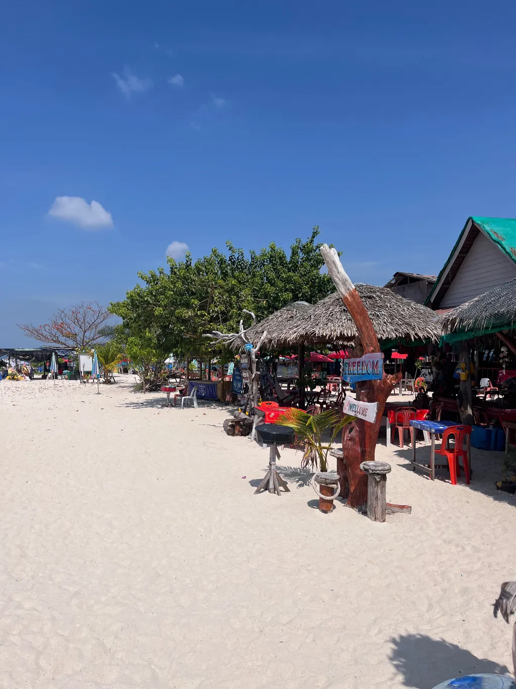 [PHUKET] Private Maya Bay & Phi Phi Islands Tour (25 Pax.)