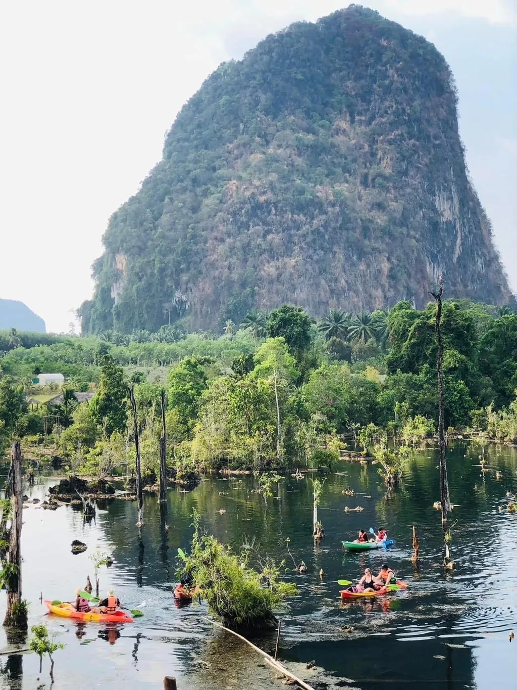 [KRABI] Mangrove Kayak + Jungle Hot Spring Experience 