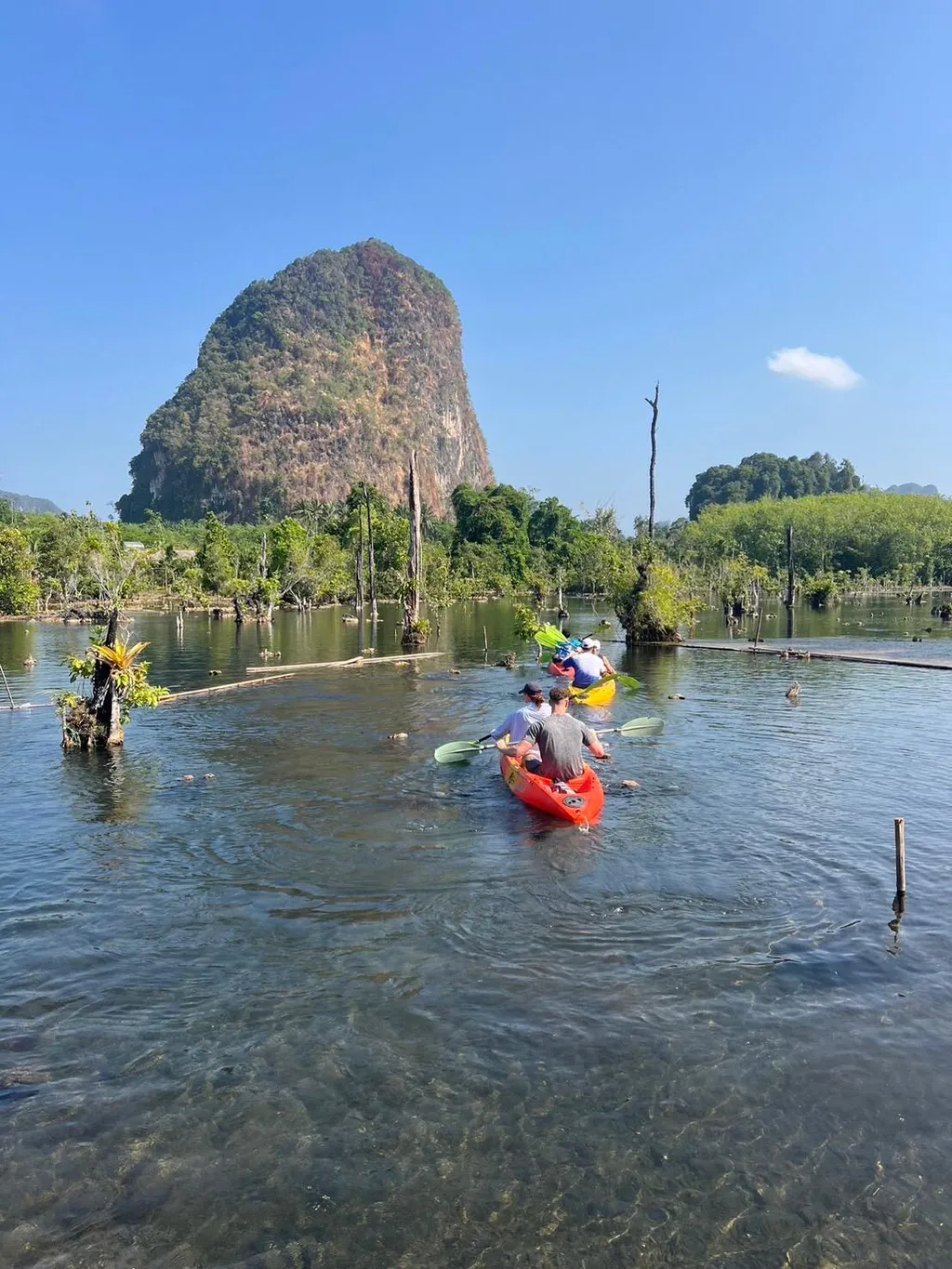 [KRABI] Mangrove Kayak + Jungle Hot Spring Experience 