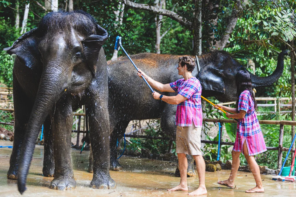 [PHUKET] Feed & Shower Experience - Patong 
