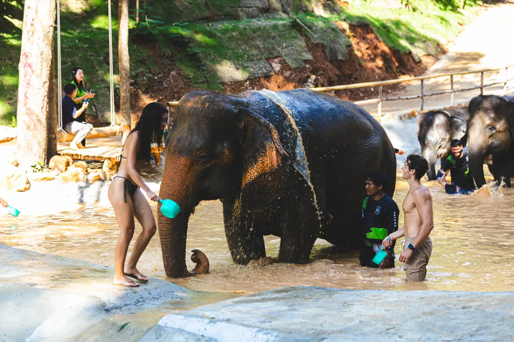 [PHUKET] Feed & Shower Experience - Patong 