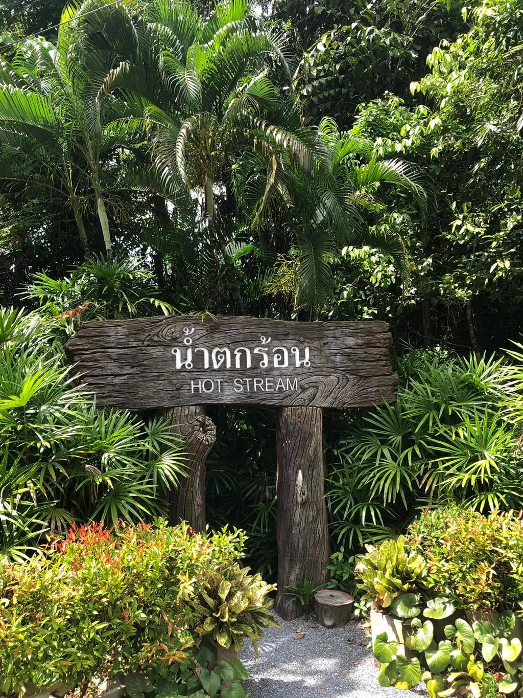 [KRABI] Mangrove Kayak + Jungle Hot Spring Experience 