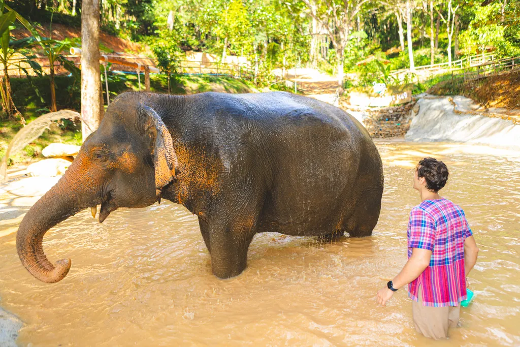[PHUKET] Half Day Program - Patong