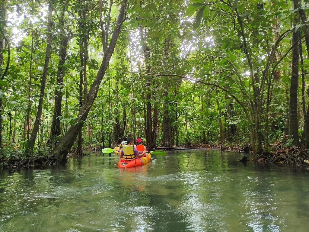 [KRABI] Mangrove Kayak + Jungle Hot Spring Experience 