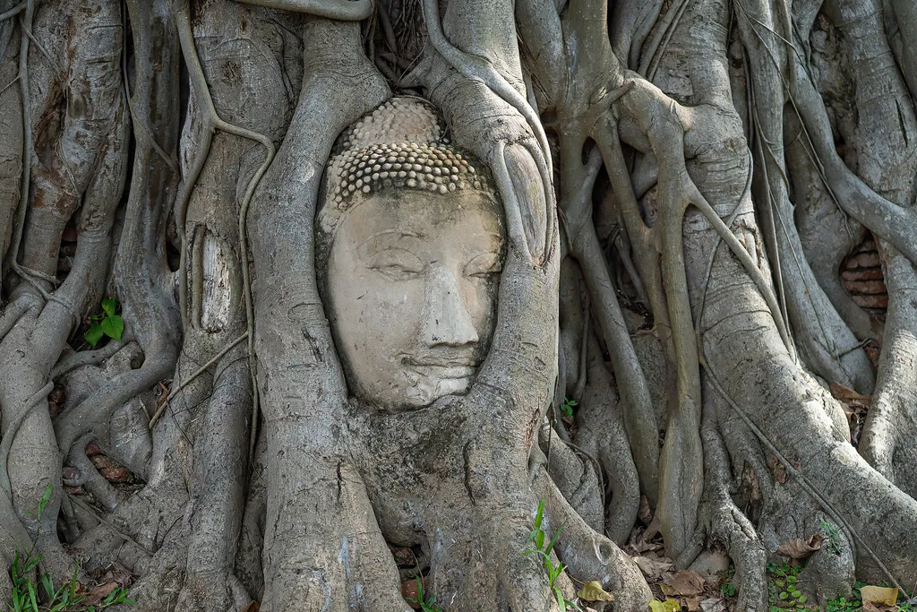 [FROM BANGKOK] Historical City of Ayutthaya - Unesco Full Day Tour