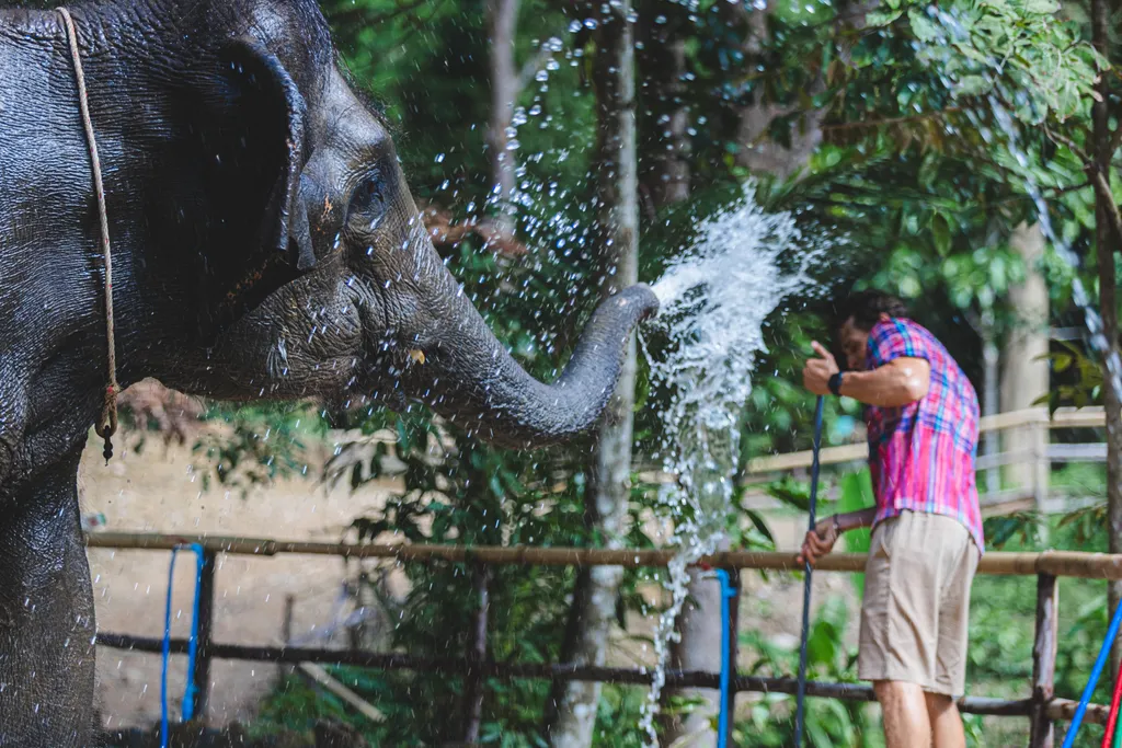 [PHUKET] Feed & Shower Experience - Patong 