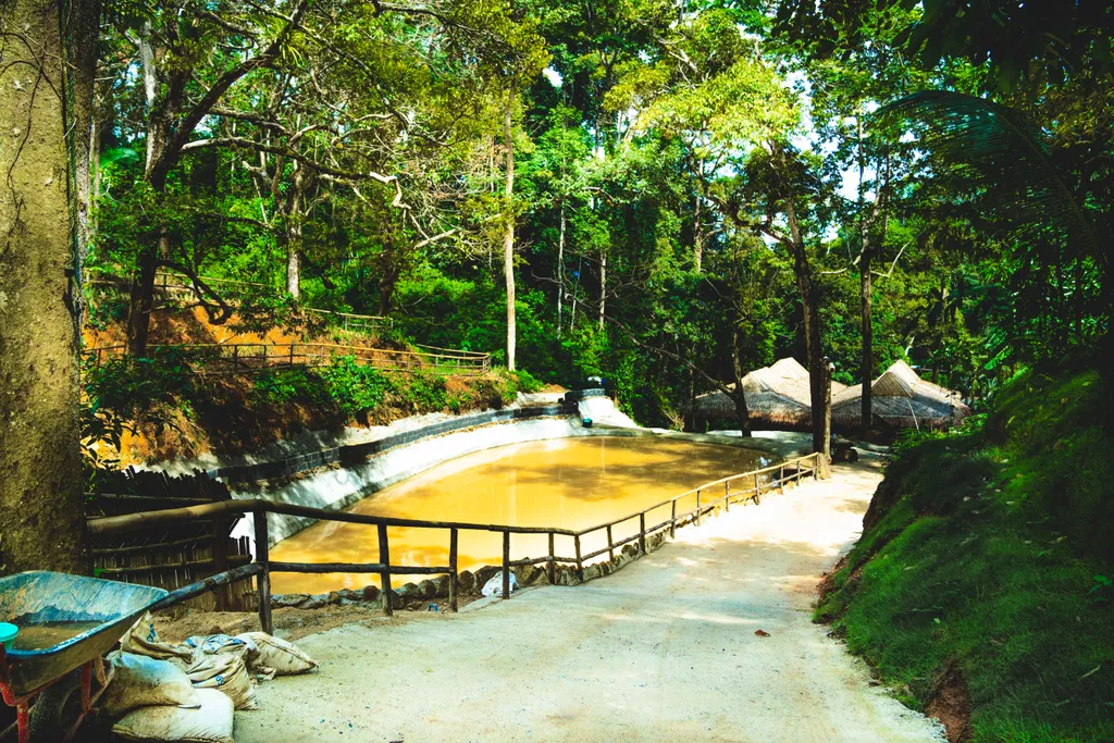 [PHUKET] Feed & Shower Experience - Patong 