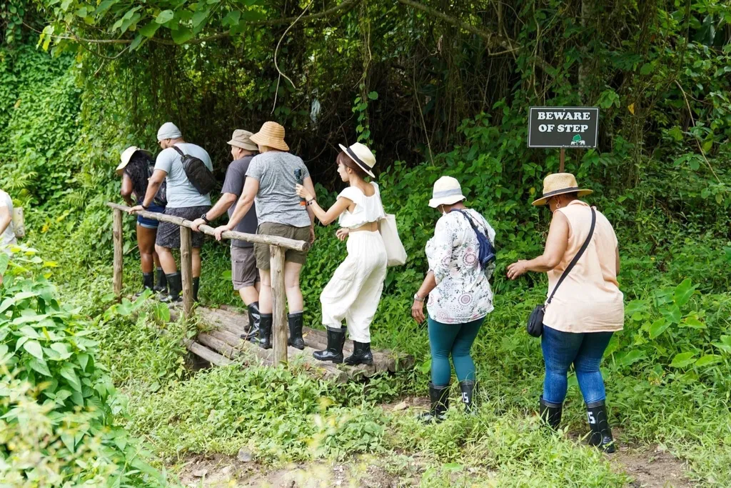 [PHUKET] Explore ELEPHANT NATURE With Meal/Without Meal