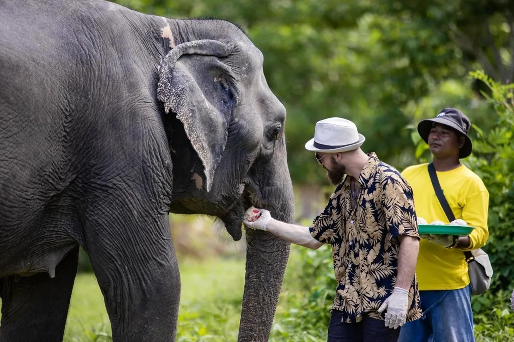 [PHUKET] BUKIT ELEPHANT WALK AND FEED 