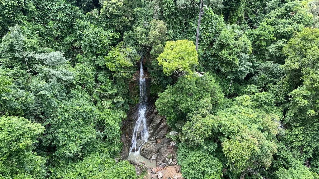   [KOH SAMUI] Tree Bridge Zipline