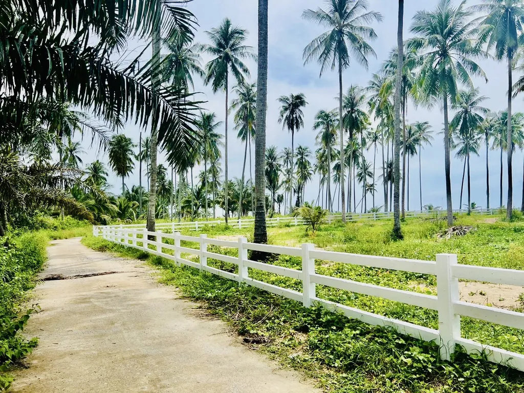 [SICHON]Beach Front Land For Sale 