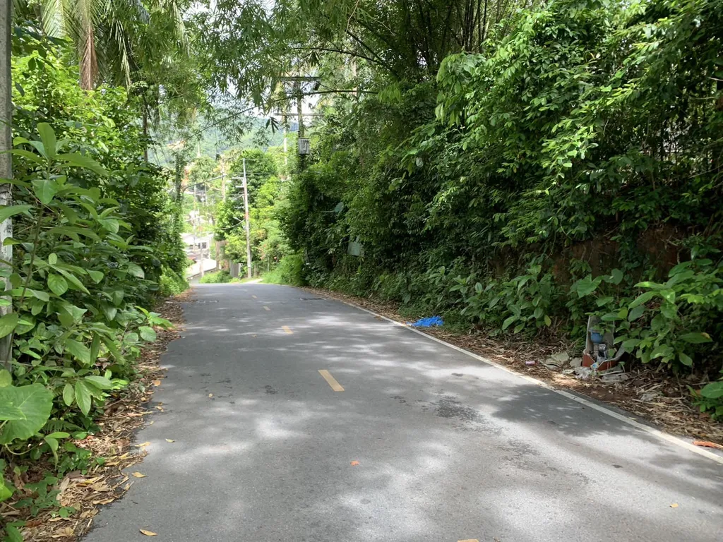 [PHUKET] Land For Sales, Choeng Thale 