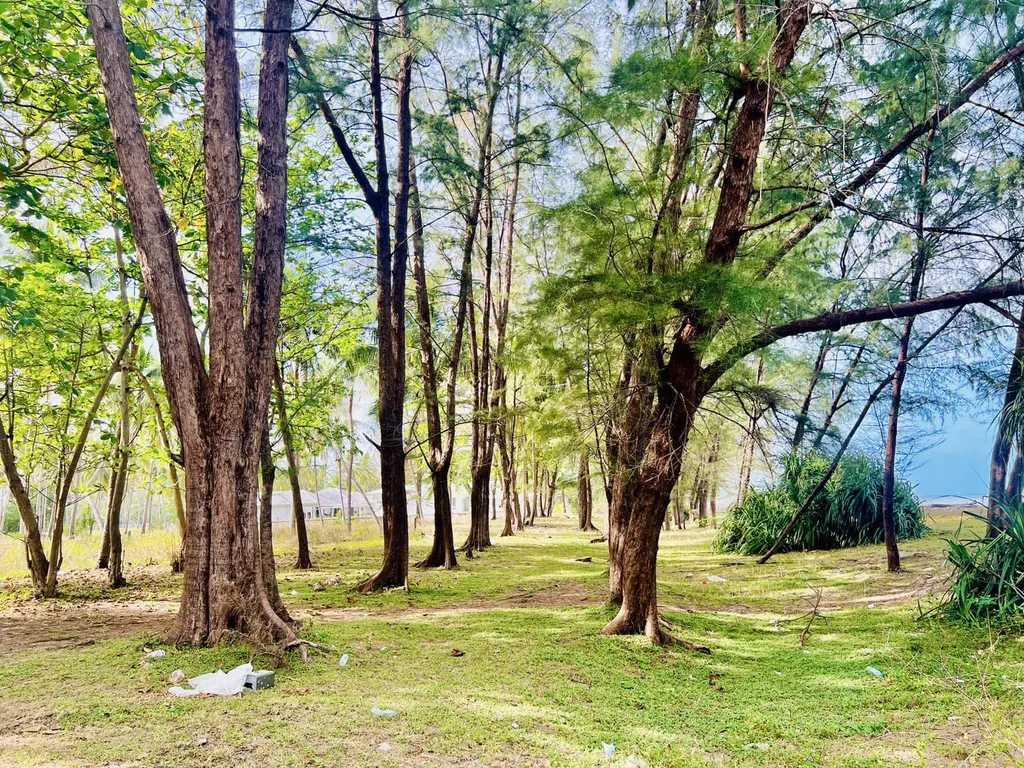 [SICHON] Beach Front Land For Sale