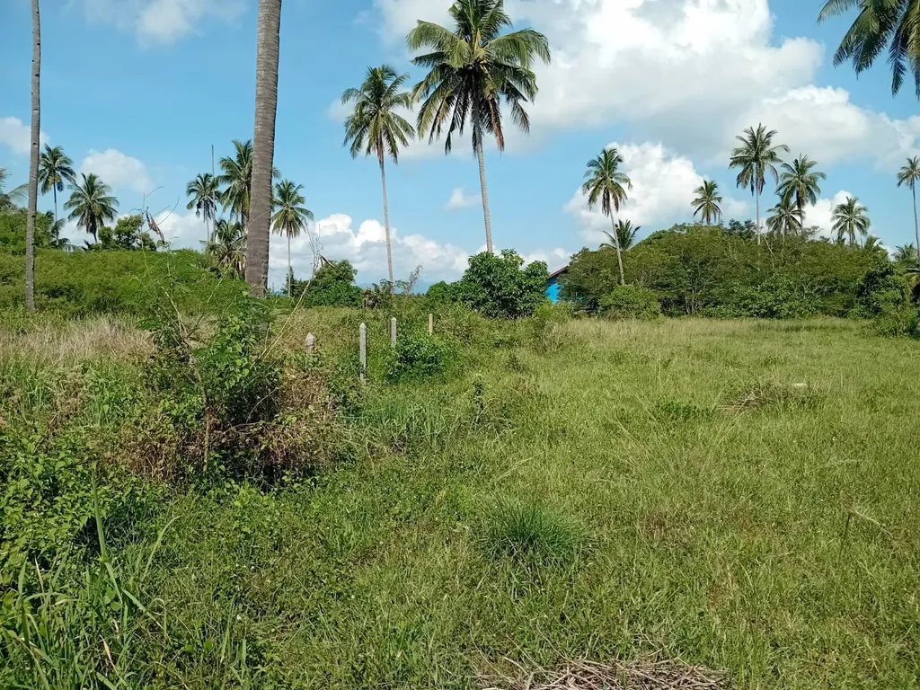 [NAKHONSRITHAMARACH] Land For Sale Beach Front