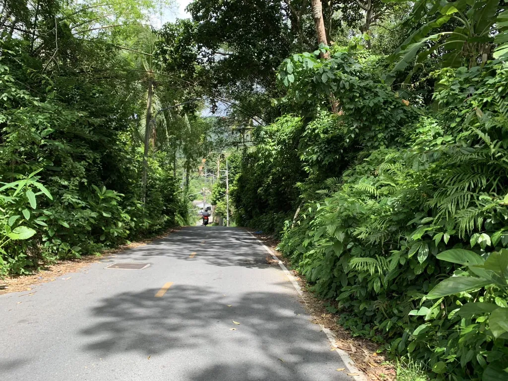[PHUKET] Land For Sales, Choeng Thale 