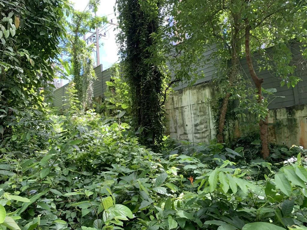 [PHUKET] Land For Sales, Choeng Thale 