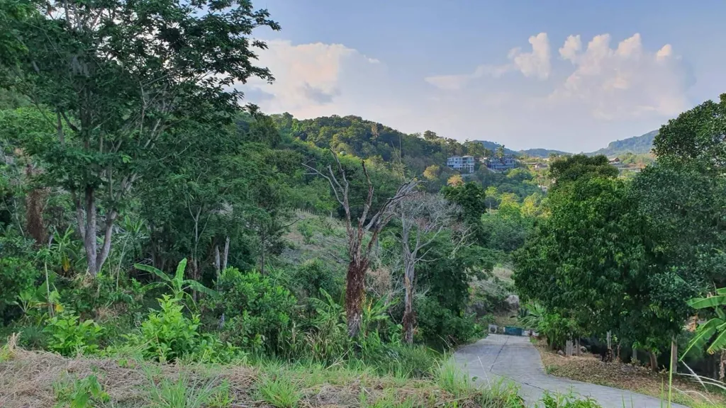 [PHUKET] Chalong Mountain Sea View 