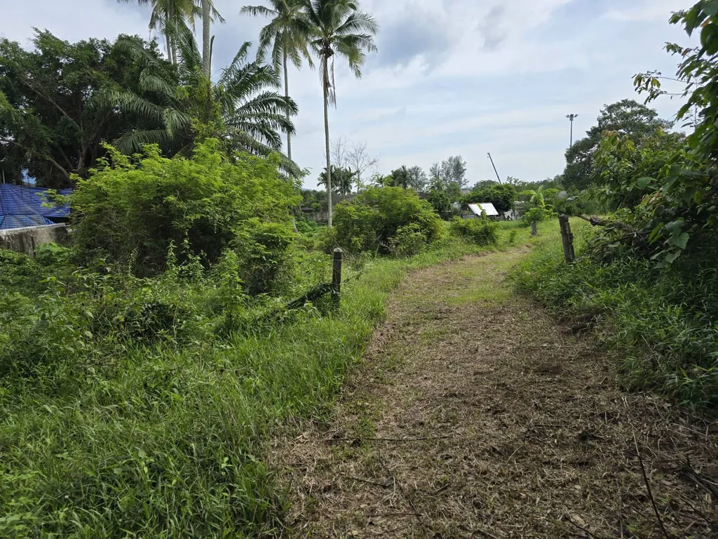 [PHUKET]LAND FOR SALE,  Choeng Thale 