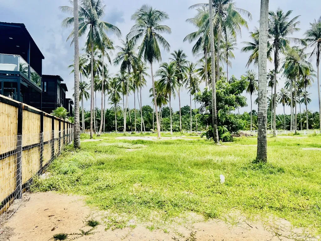 [SICHON]Beach Front Land For Sale 